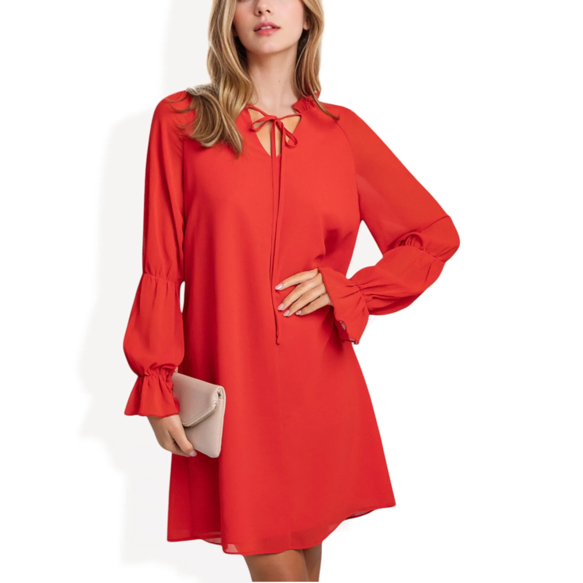 Anna-Kaci Women's A-Line Chiffon Dress with Sheer Sleeves and Tie Neck Detail