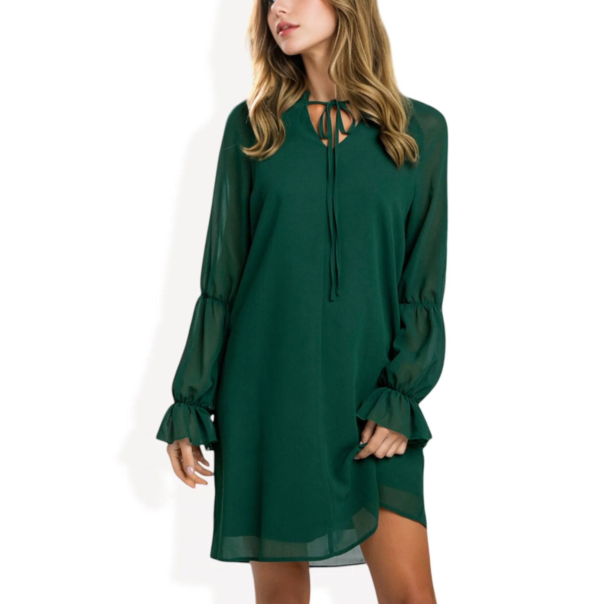 Anna-Kaci Women's A-Line Chiffon Dress with Sheer Sleeves and Tie Neck Detail